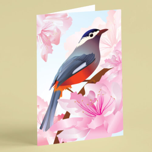 Chaffinch with pink flowers card